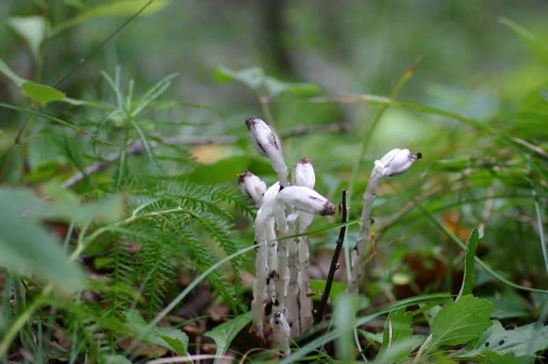 f5c27791.jpg