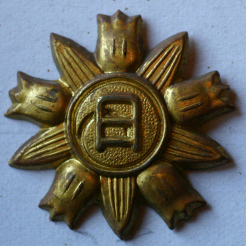 fea4529d.jpg