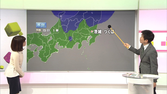 合原明子 首都圏ネットワーク もうすぐ9時プレマップ 4