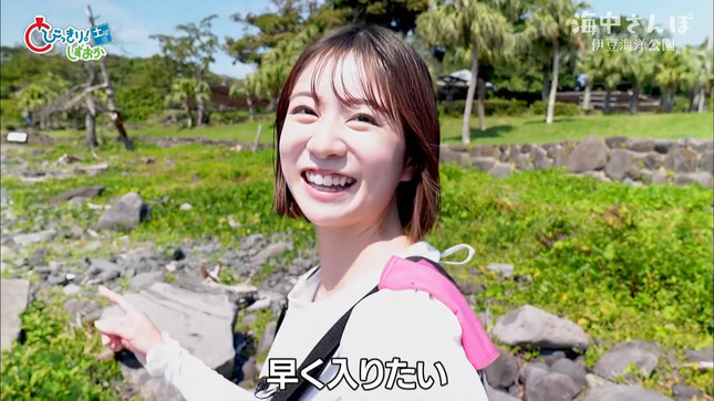 笹村朱里 「とびっきり！しずおか土曜版」海中さんぽ 2