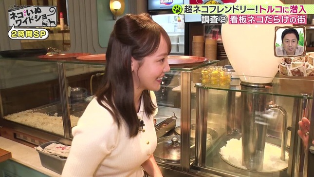 森千晴 ネコいぬワイドショー 10