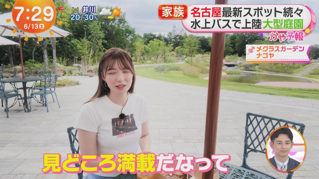 阿部華也子 めざましどようび 14
