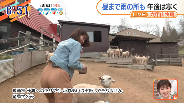 市村紗弥香 テッパン朝ライブじゅーっと！ 5