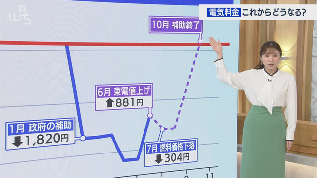 角谷暁子 ワールドビジネスサテライト TXNnews 1