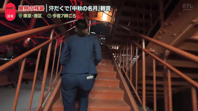 山本里咲 NewsZero 7