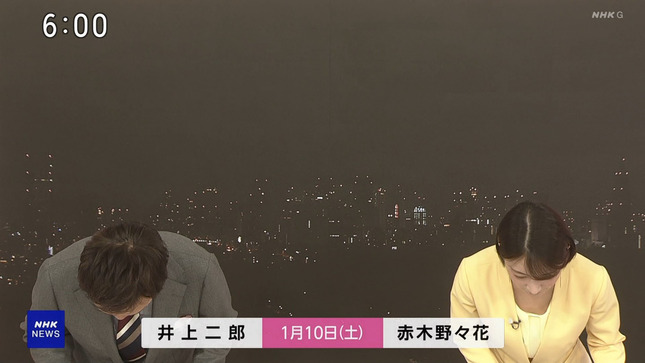 赤木野々花 おはよう日本 NHKニュース 14