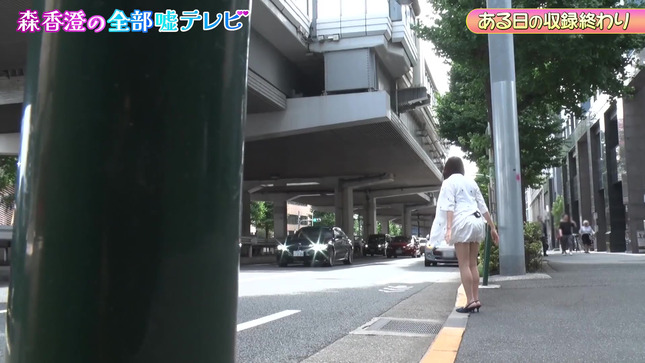森香澄の全部嘘テレビ 1