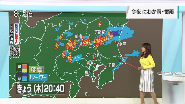 片山美紀 首都圏ネットワーク 10