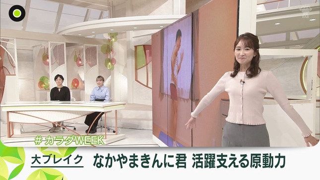 中島芽生 NewsZero 4