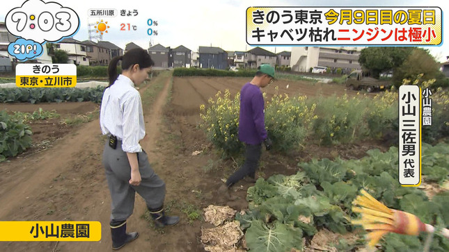 渡邉結衣 ZIP! 8