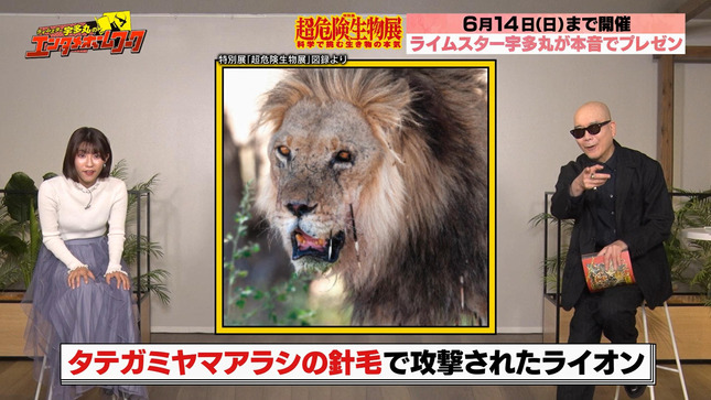 御手洗菜々 ライムスター宇多丸のエンタメホームワーク 12