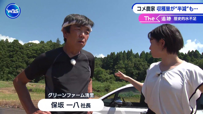 田中瞳 ワールドビジネスサテライト 9