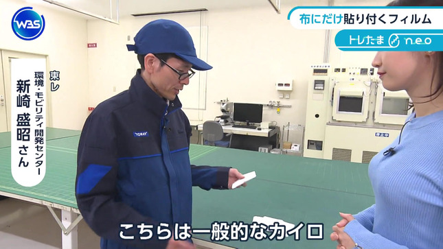 嶺百花 ワールドビジネスサテライト 20