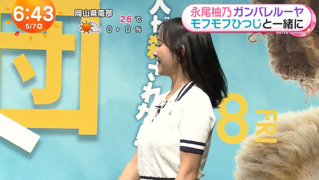 石渡花菜 めざましテレビ 9
