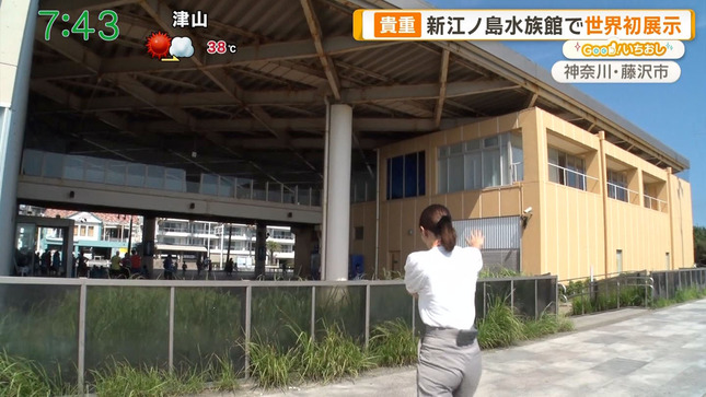 荒井理咲子 グッド！モーニング 4