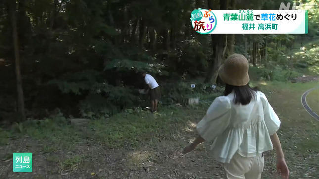 NHK福井・平塚柚希アナ　レポートのお尻にパン線くっきり！！【GIF動画あり】