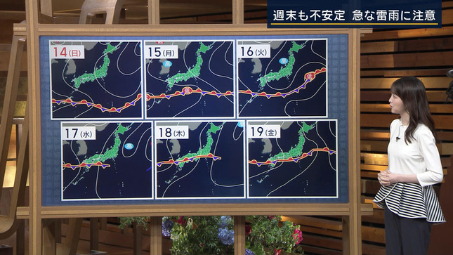 細川栞 報道ステーション 15