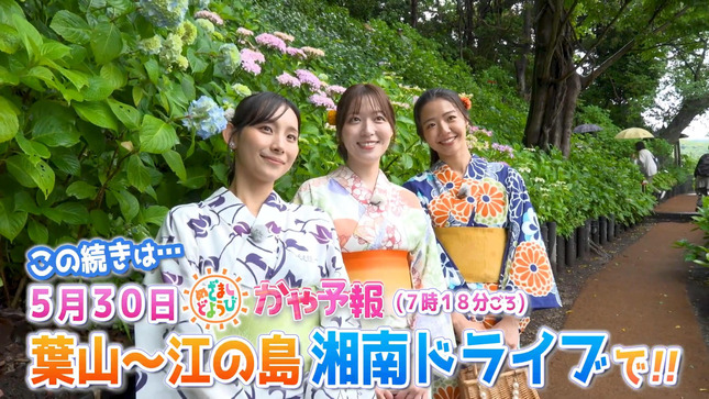 阿部華也子 めざましテレビチャンネル 25