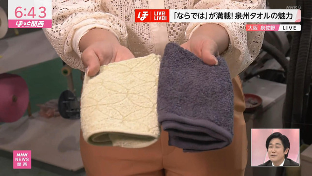 上岡梨紗 ニュースほっと関西 15