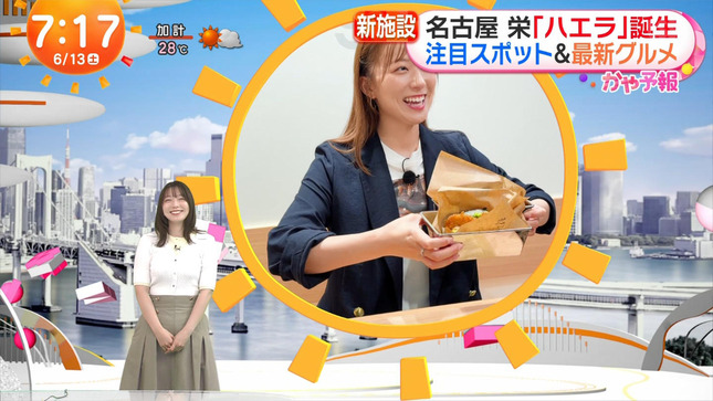 阿部華也子 めざましどようび 2
