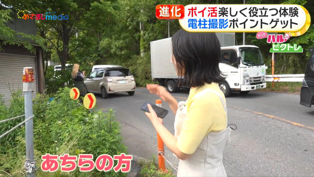 高崎春 めざましテレビ 11