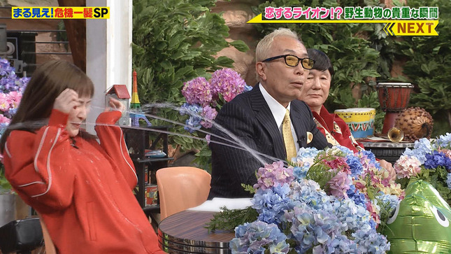 岩田絵里奈 世界まる見え！テレビ特捜部 12