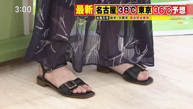 皆藤愛子 ゴゴスマ 9