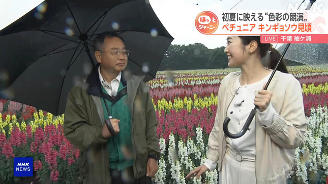 岩﨑果歩 おはよう日本 19