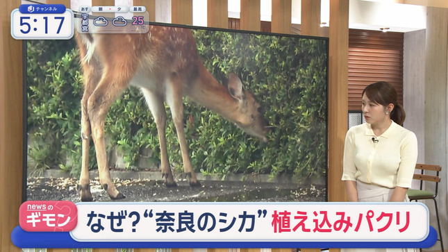 三山賀子 スーパーJチャンネル 4