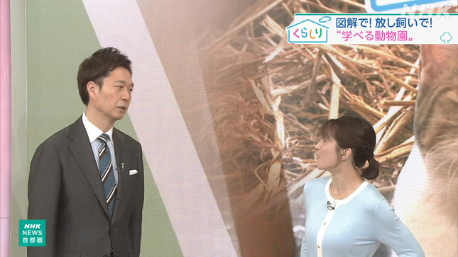 赤木野々花 おはよう日本 7