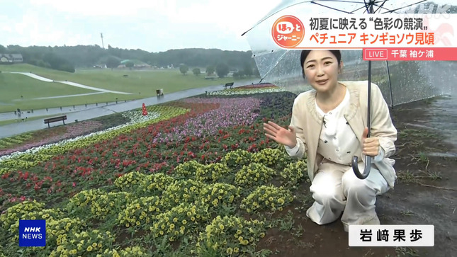岩﨑果歩 おはよう日本 1