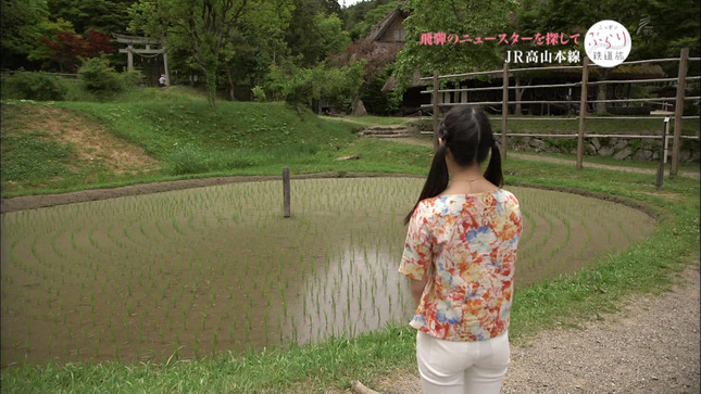 玉木碧 ニッポンぶらり鉄道旅 11