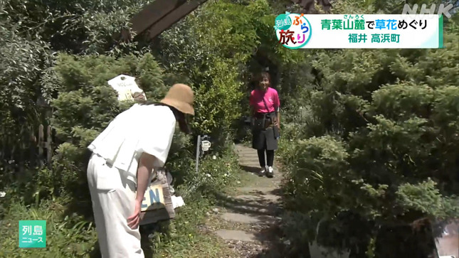 平塚柚希 列島ニュース 12