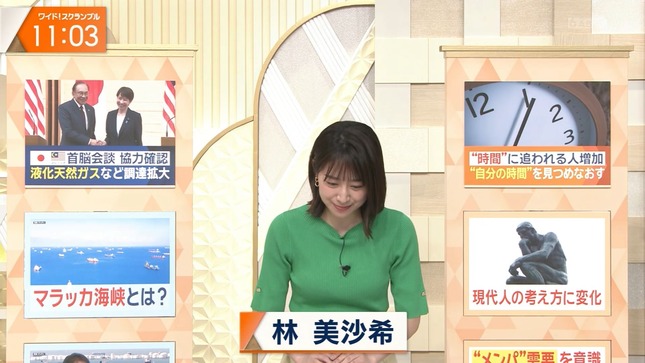 林美沙希 ワイド！スクランブル 3