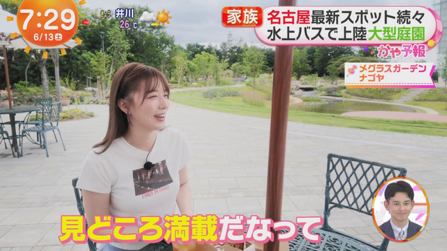 阿部華也子 めざましどようび 16