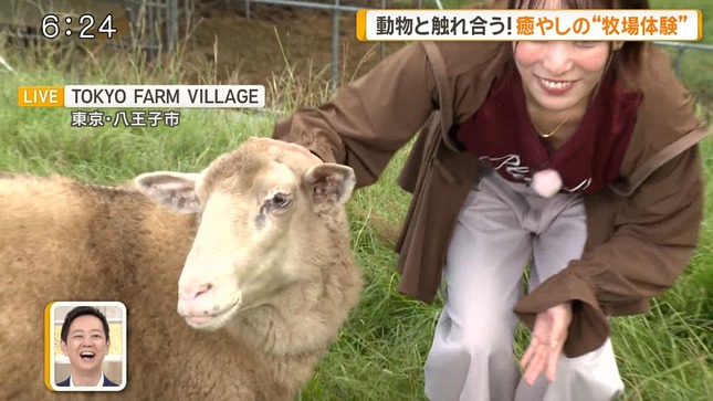 今井春花 グッド！モーニング 6