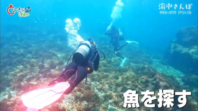 笹村朱里 「とびっきり！しずおか土曜版」海中さんぽ 21
