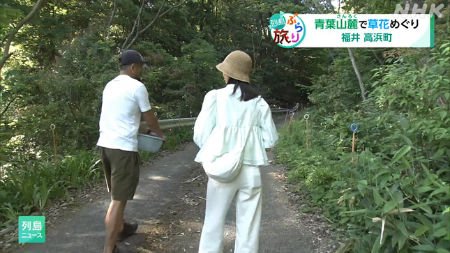 平塚柚希 列島ニュース 5