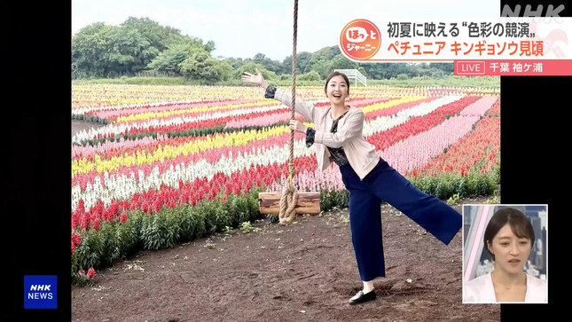 岩﨑果歩 おはよう日本 16