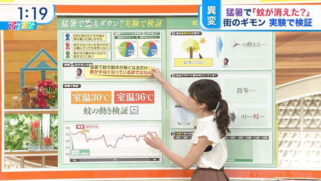 宇内梨沙 ひるおび！ 3