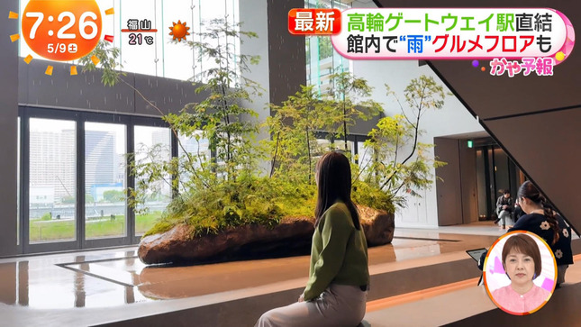 阿部華也子 めざましどようび 5