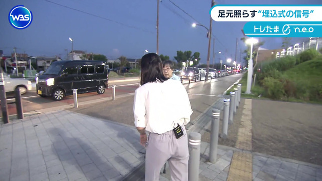 嶺百花 ワールドビジネスサテライト 5