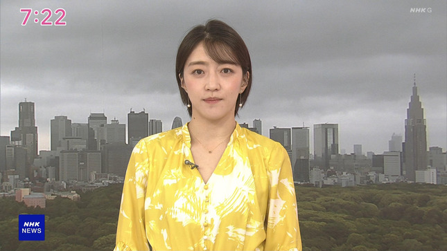 赤木野々花 おはよう日本 NHKニュース 24