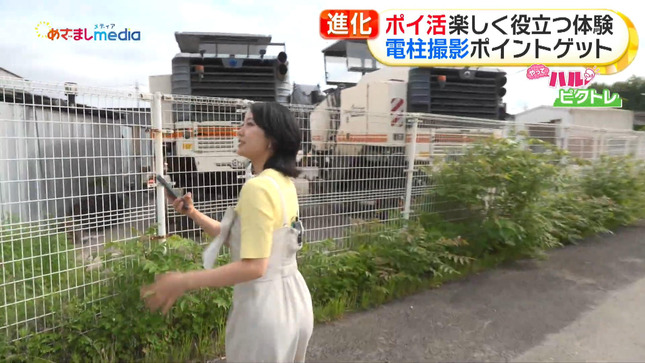 高崎春 めざましテレビ 15