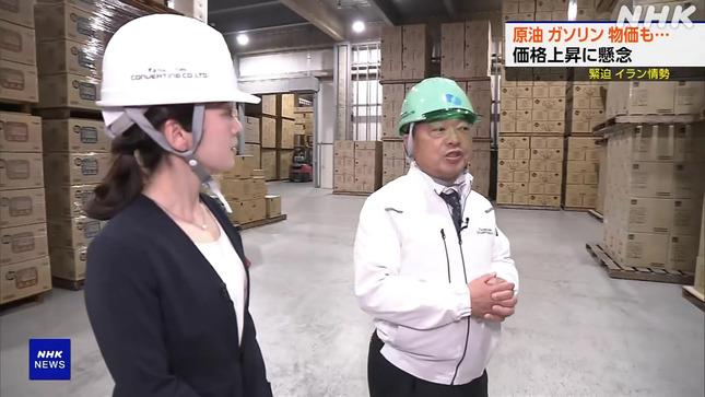 姫野美南 ニュースウオッチ9 7