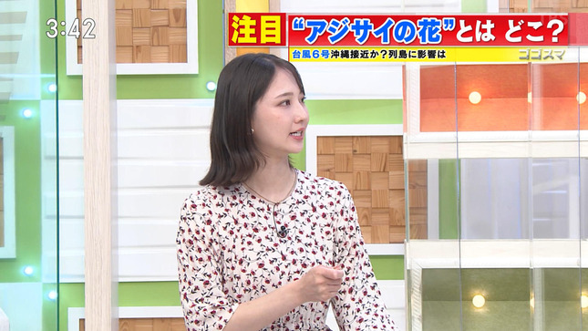 友廣南実 ゴゴスマ 13