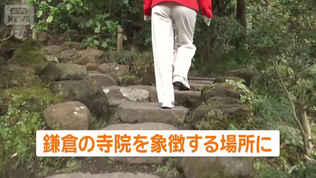 荒井理咲子 グッド！モーニング 12