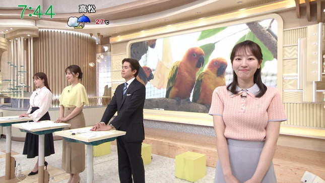 佐々木若葉 グッド！モーニング 4