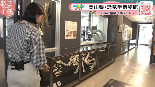 河畑達子 あさイチ 4