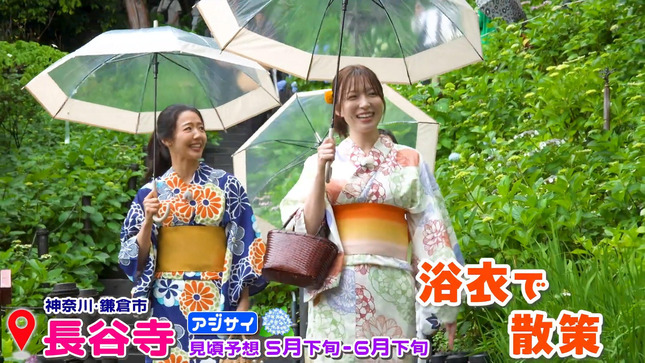 阿部華也子 めざましテレビチャンネル 24